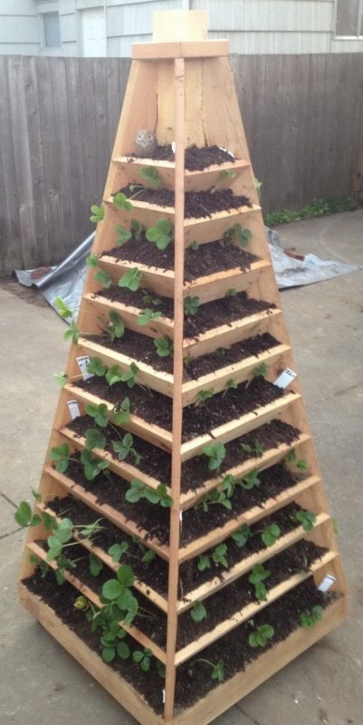 10 Raised Garden Bed Projects You Can DIY In A Day | Sand Between My