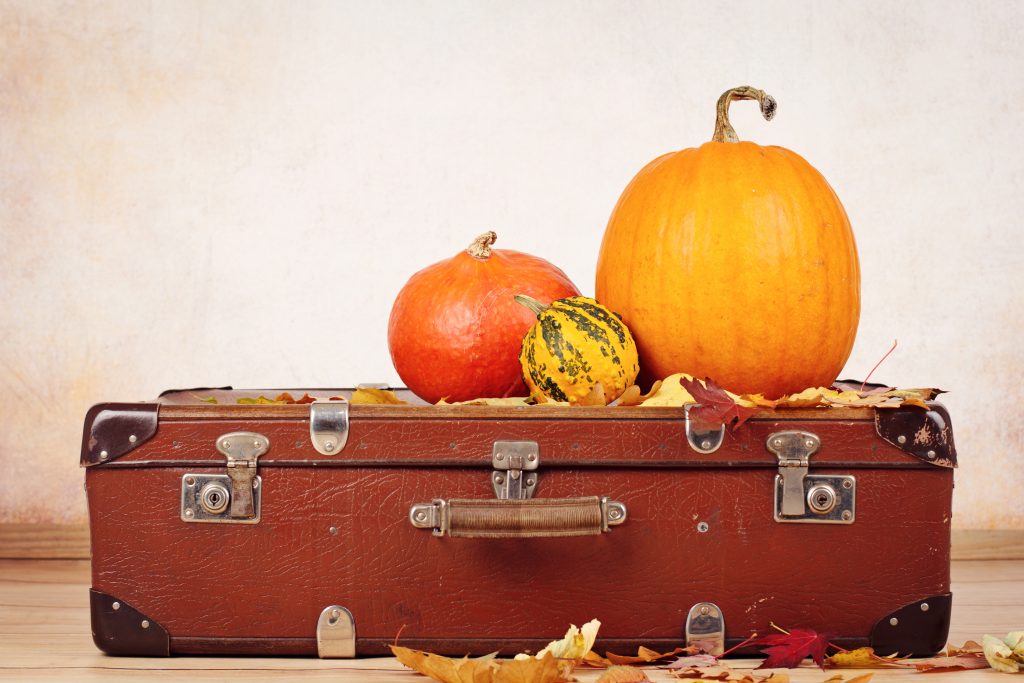 Thanksgiving Travel Tips You Will Be Thankful For